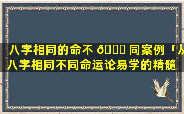 八字相同的命不 🐛 同案例「从八字相同不同命运论易学的精髓 🦁 」